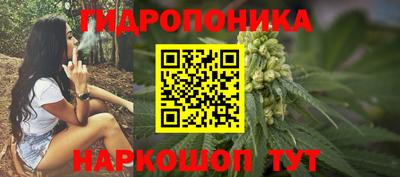 дурь Будённовск