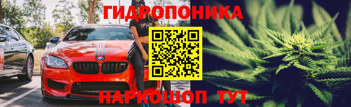 Бошки Шишки семена Лабытнанги